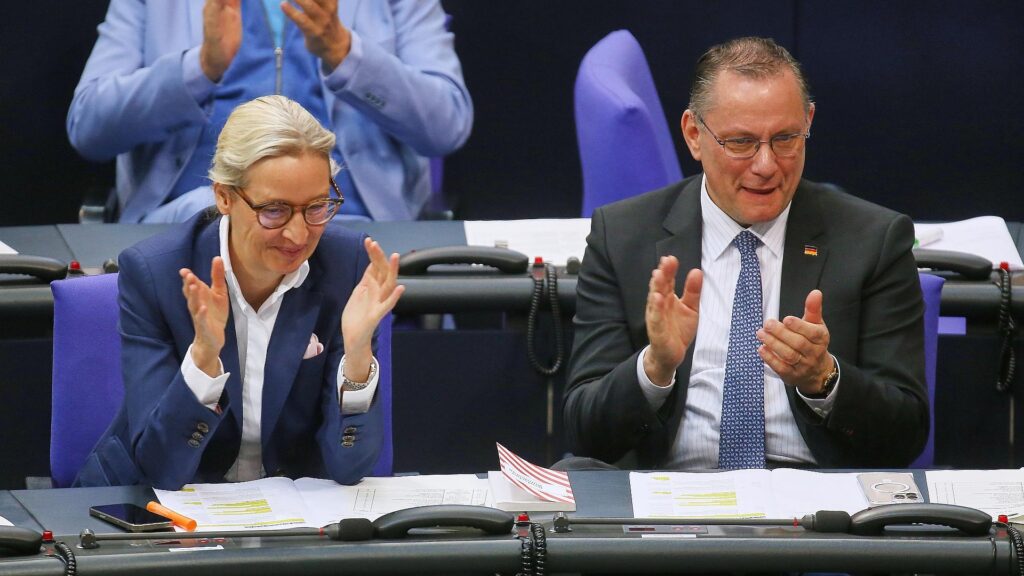 Alice Weidel und Tino Chrupalla (Archiv)