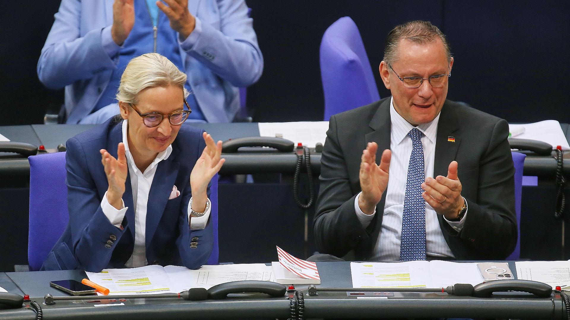 Alice Weidel und Tino Chrupalla (Archiv)