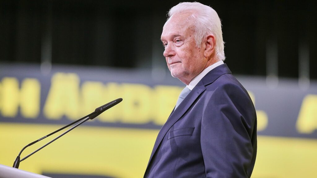 Wolfgang Kubicki (Archiv)