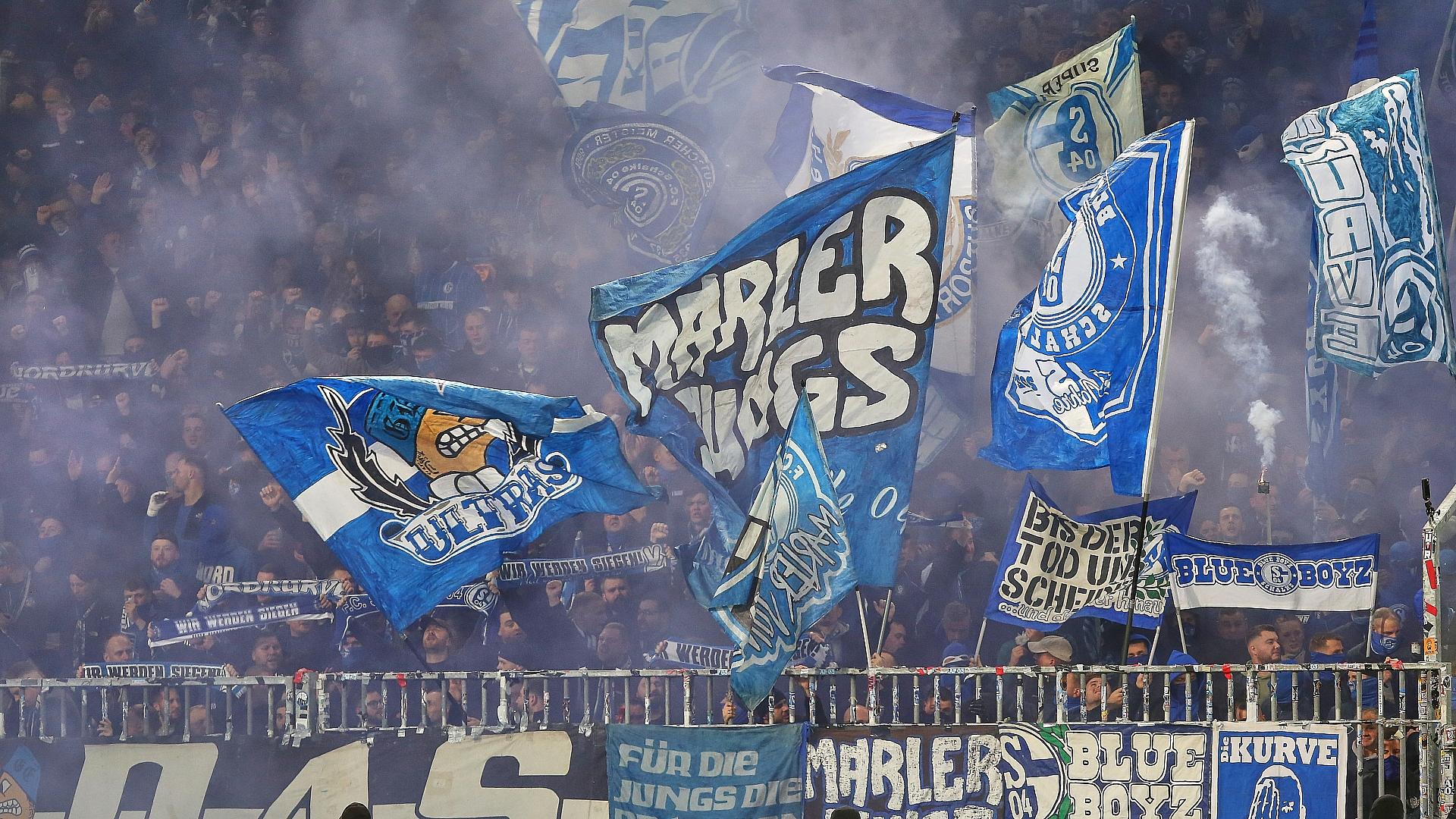 Fans von Schalke 04 (Archiv)