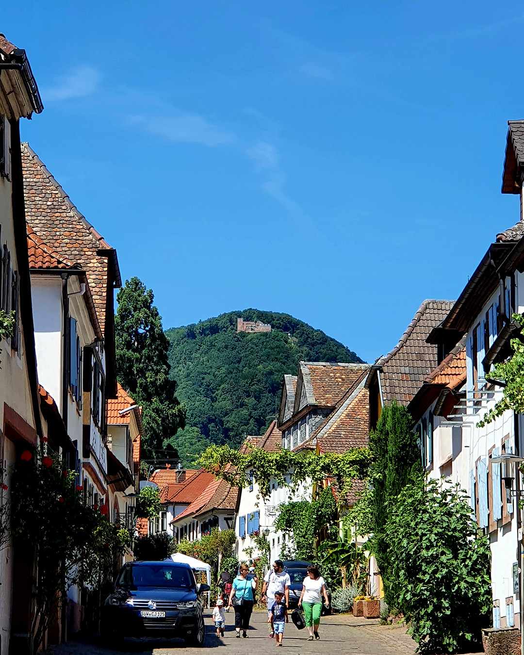 Aktuelles aus St. Ingbert | Bild: Stadt St. Ingbert Bürgerfahrt nach Rhodt unter Rietburg ausgebucht