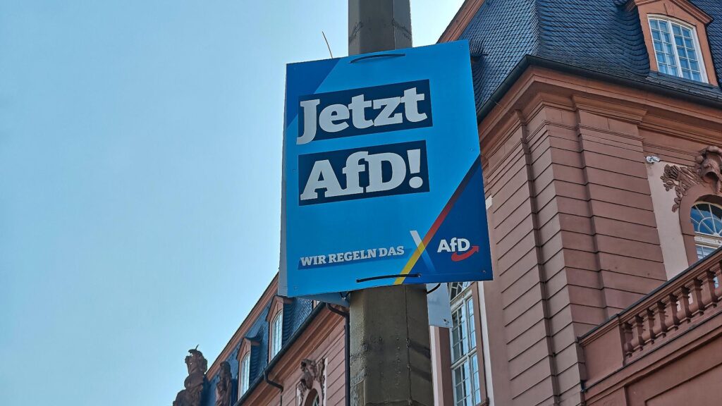 AfD-Plakat (Archiv)