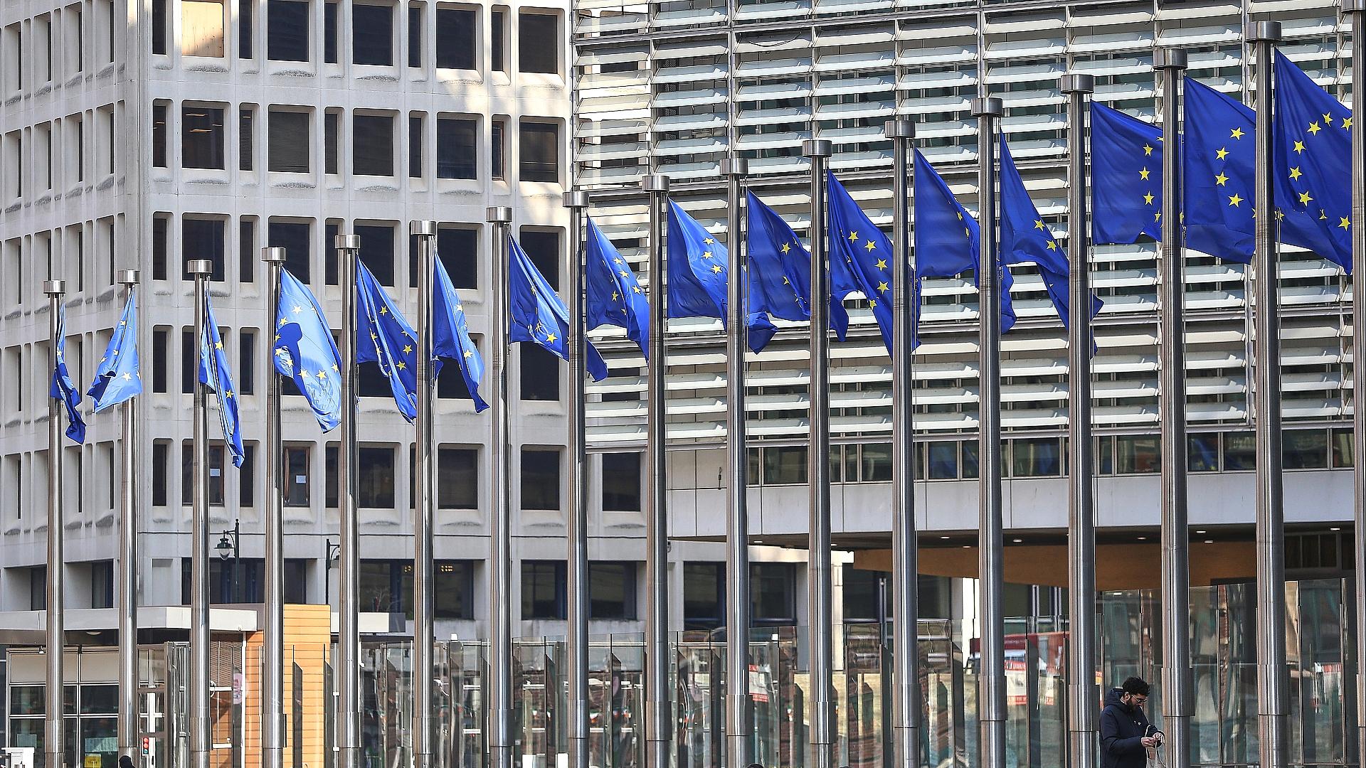 EU-Fahnen (Archiv)