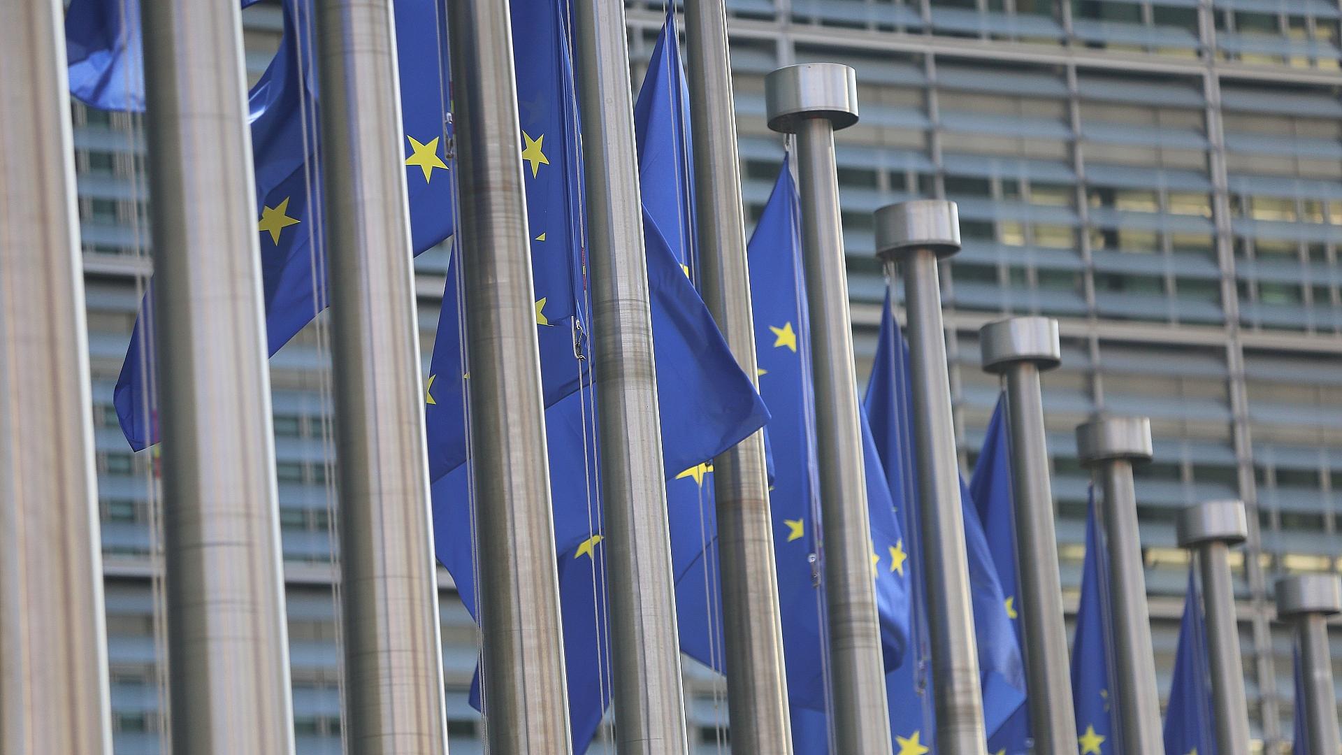 EU-Fahnen (Archiv)