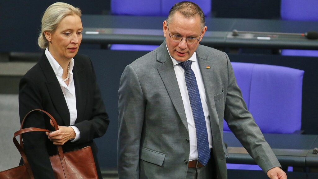 Alice Weidel und Tino Chrupalla (Archiv)