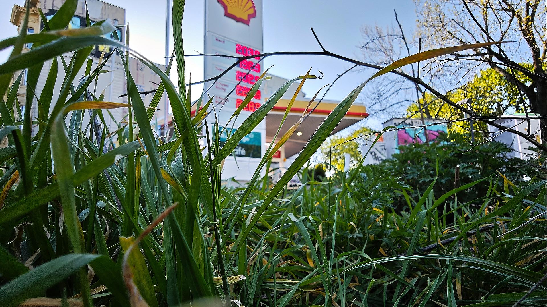 Bundesländer melden zurückgehende Inflation 1 Tankstelle (Archiv)