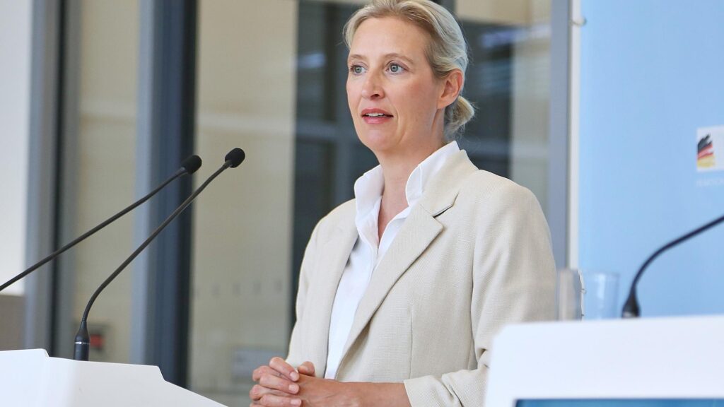 Alice Weidel (Archiv)