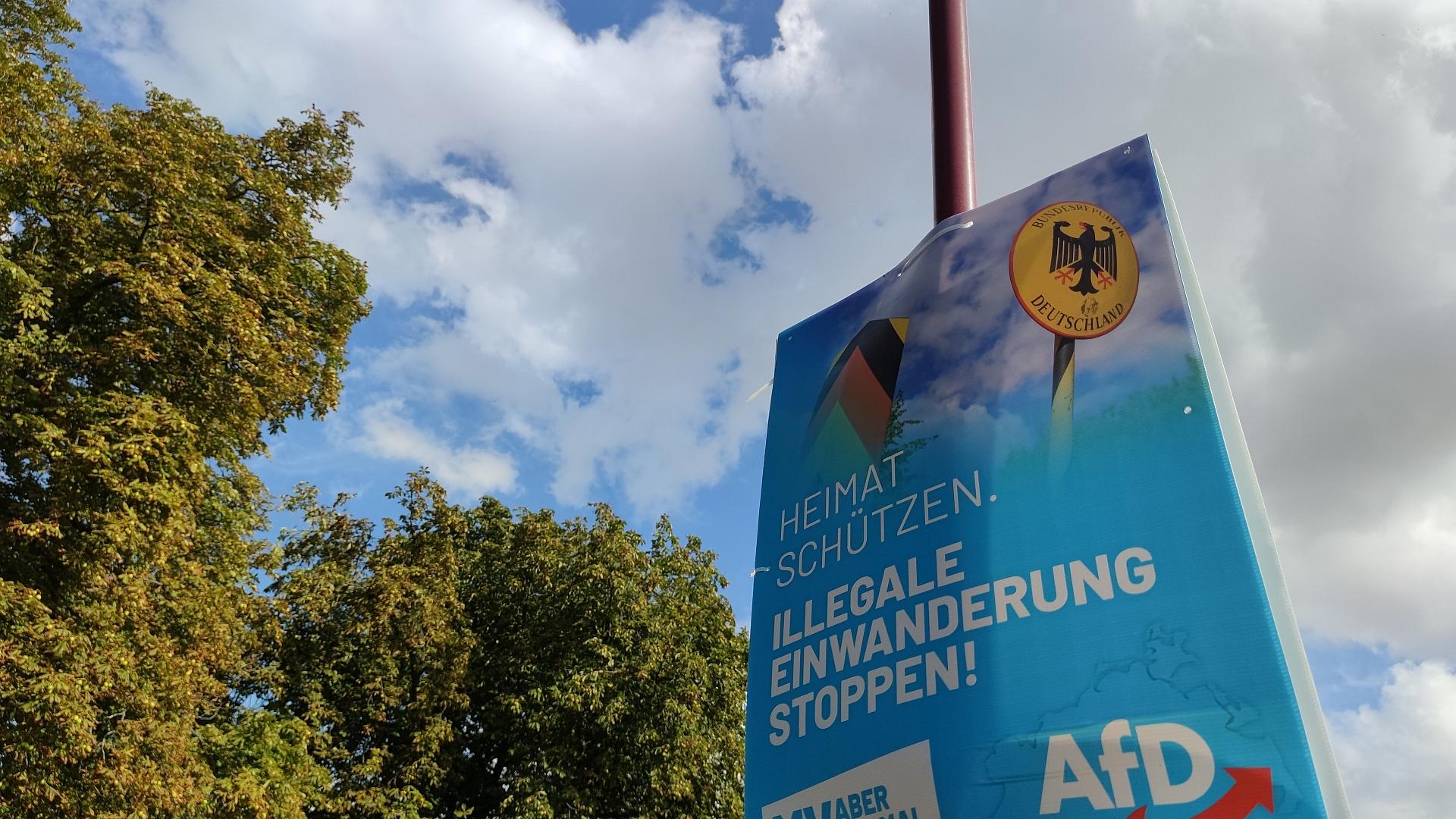 AfD-Plakat zur Landtagswahl Mecklenburg-Vorpommern 2021 (Archiv)