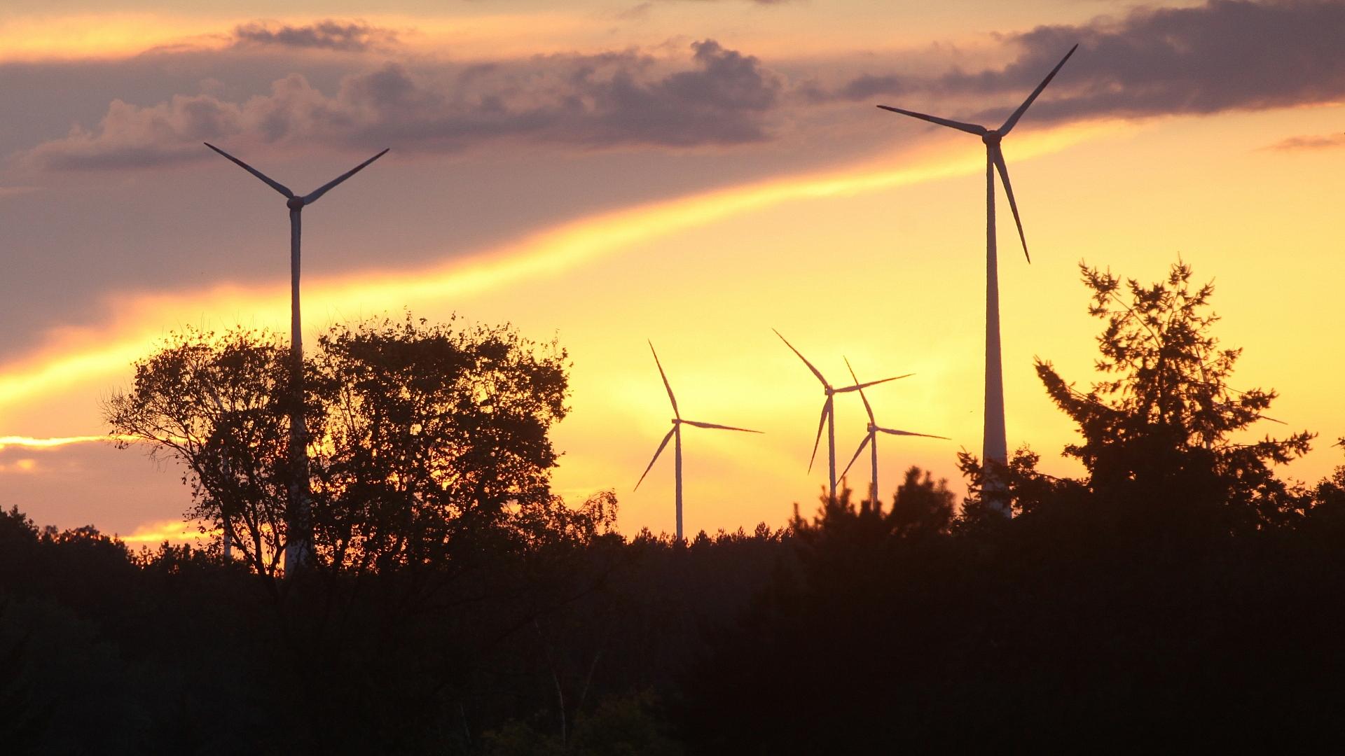 Windräder (Archiv)