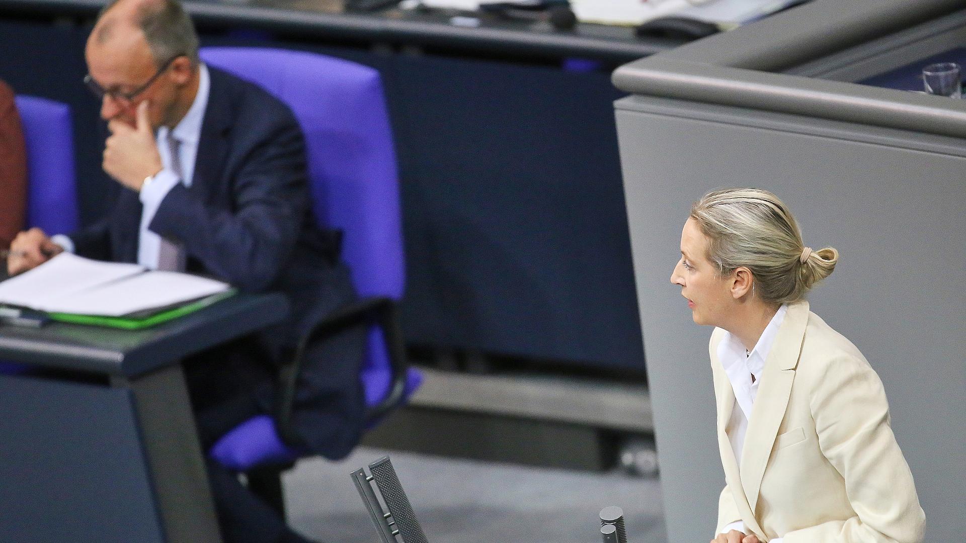 Friedrich Merz und Alice Weidel (Archiv)