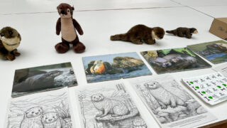 Fischotter-Ausstellung im St. Ingberter Rathaus noch bis 22. Mai zu sehen