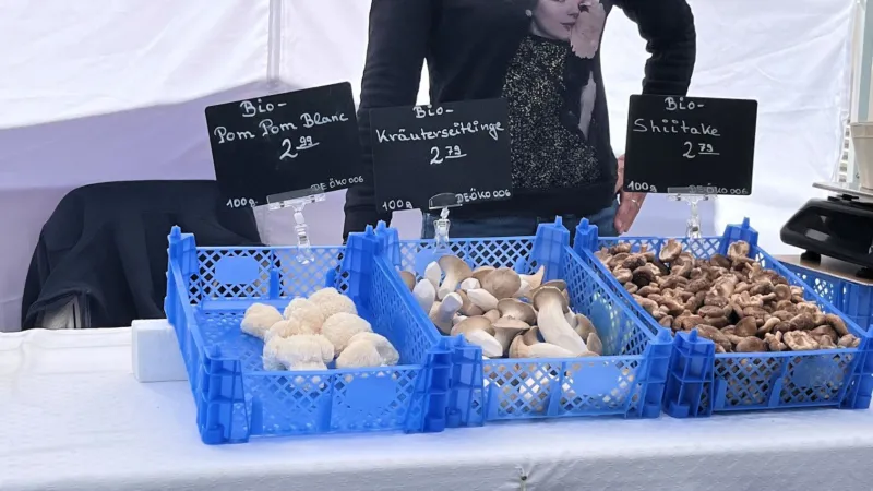 Edelpilze aus dem Bunker: Saarbrücker Familie verkauft auf St. Ingberter Wochenmarkt