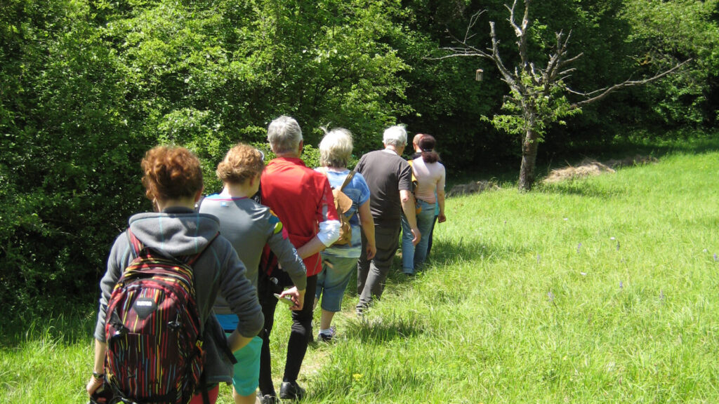 Aktuelles aus St. Ingbert | Bild: Stadt St. Ingbert Europäischer Tag der Parke am 24. Mai 2026 unter dem Motto „Verbunden durch die Natur“