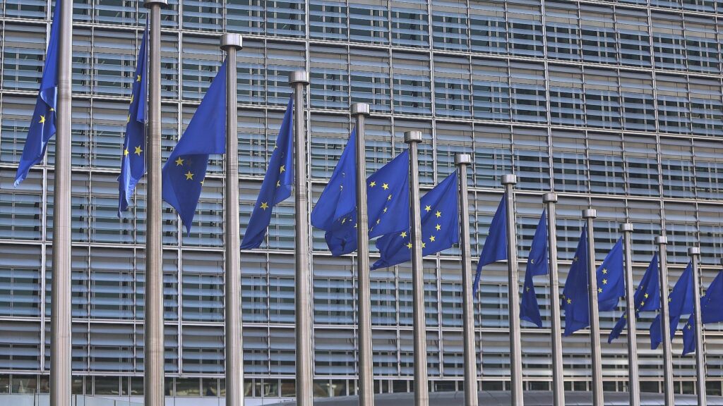 EU-Fahnen (Archiv)