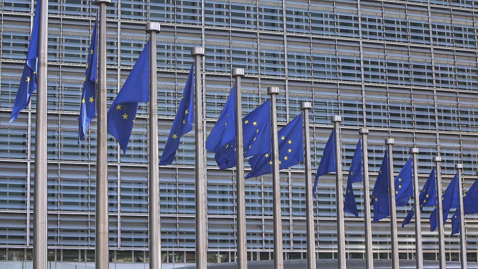 EU-Fahnen (Archiv)