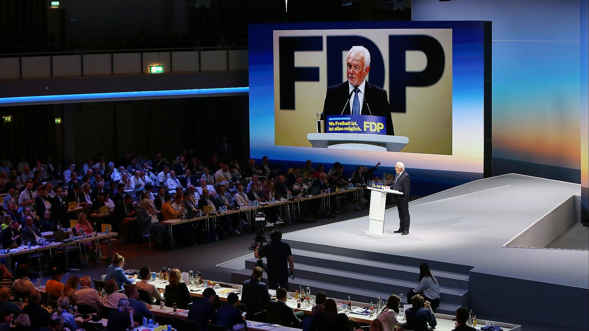 Wolfgang Kubicki (Archiv)