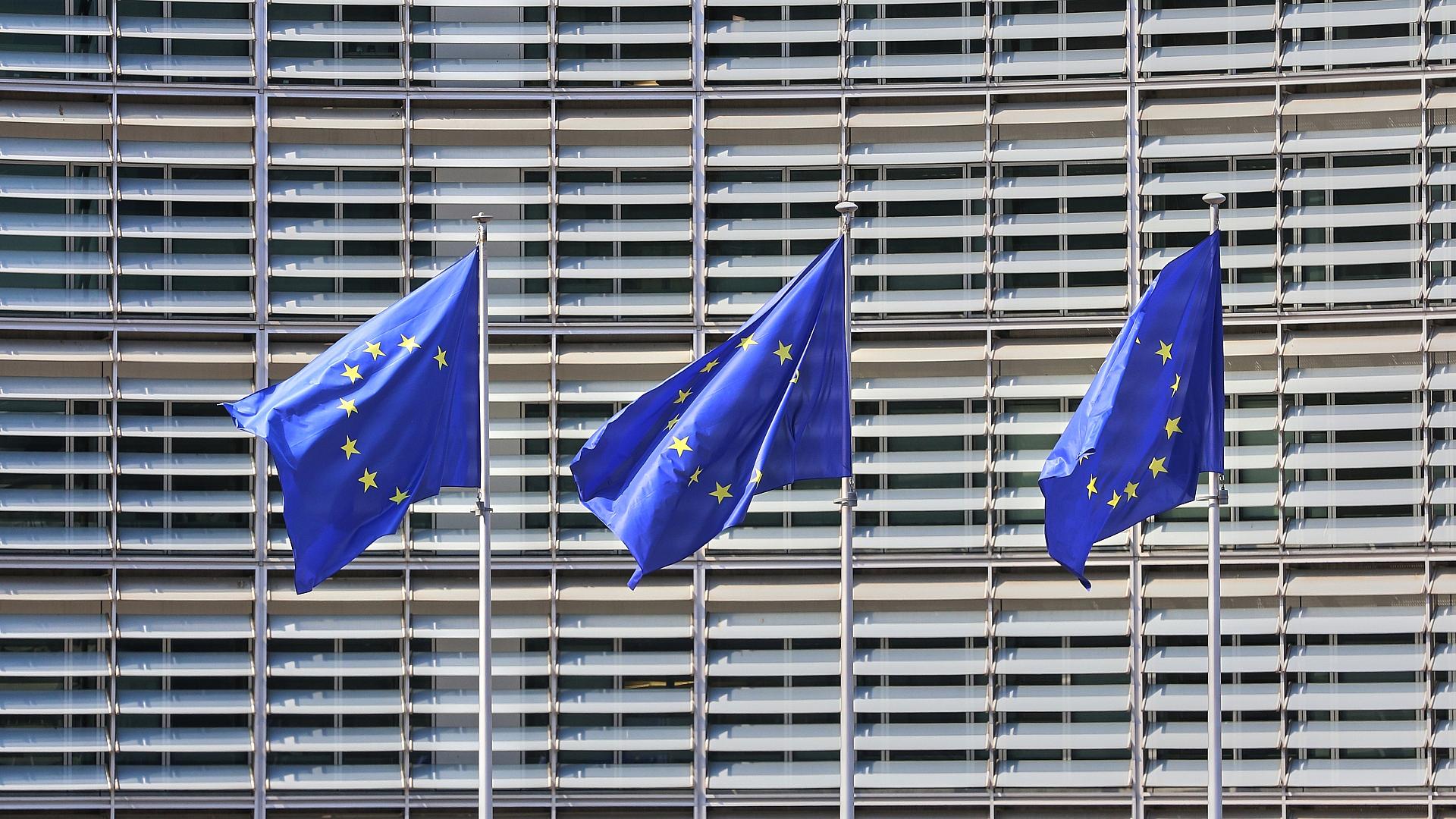 EU-Fahnen (Archiv)