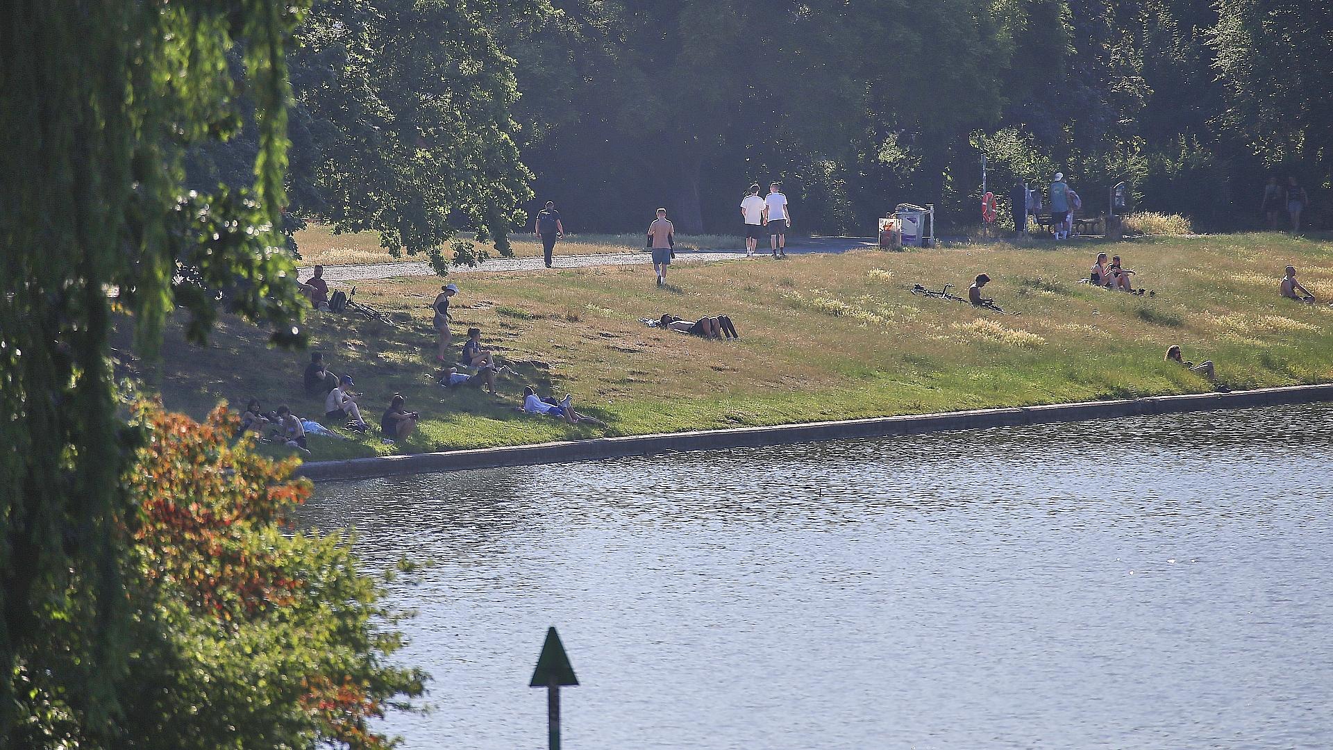 Leute liegen Ende Juni 2026 auf einer Wiese