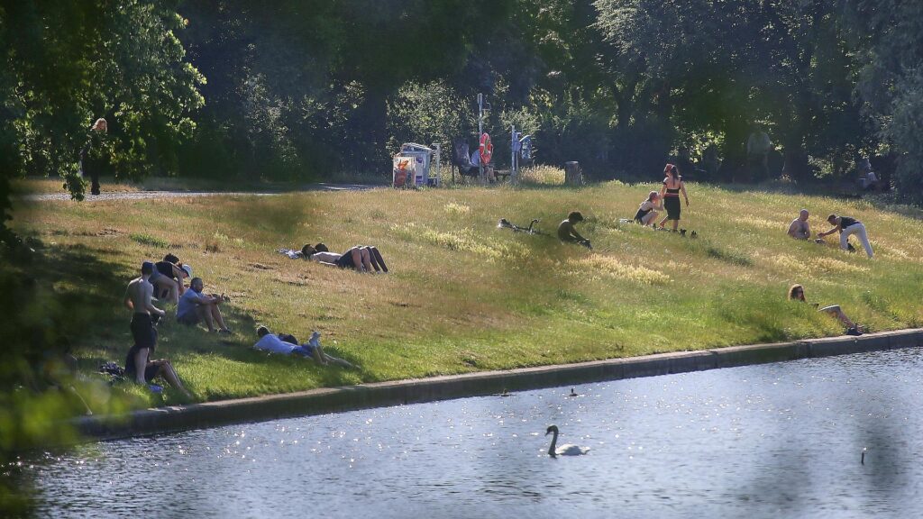 Leute liegen Ende Juni 2026 auf einer Wiese