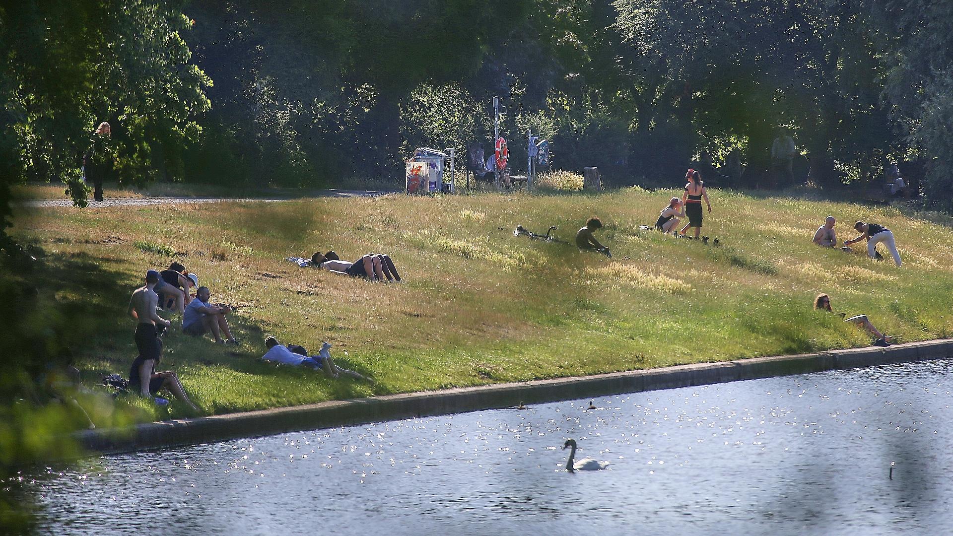 Leute liegen Ende Juni 2026 auf einer Wiese