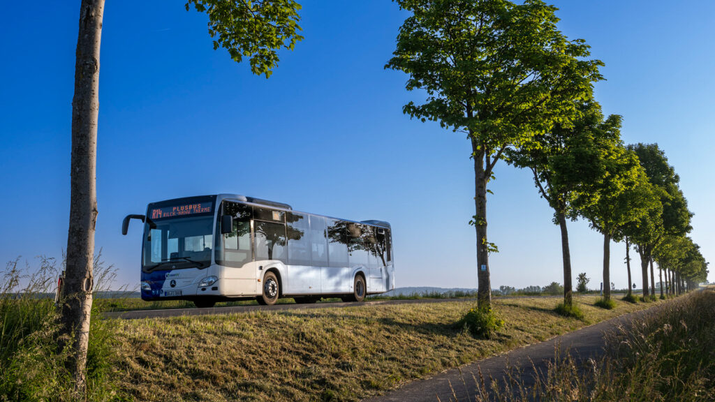 Biosphären-Safari im Bliesgau: Tagesausflug durch Kulturlandschaft und Stadt St. Ingbert 1 Aktuelles aus St. Ingbert | Bild: Stadt St. Ingbert Auf Safari durch die Heimat – Die Biosphäre Bliesgau mit Bus und Wanderschuhe entdecken