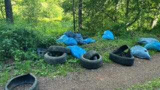 Illegale Altreifenentsorgung am Glashütter Weiher – Stadt sucht Zeugen