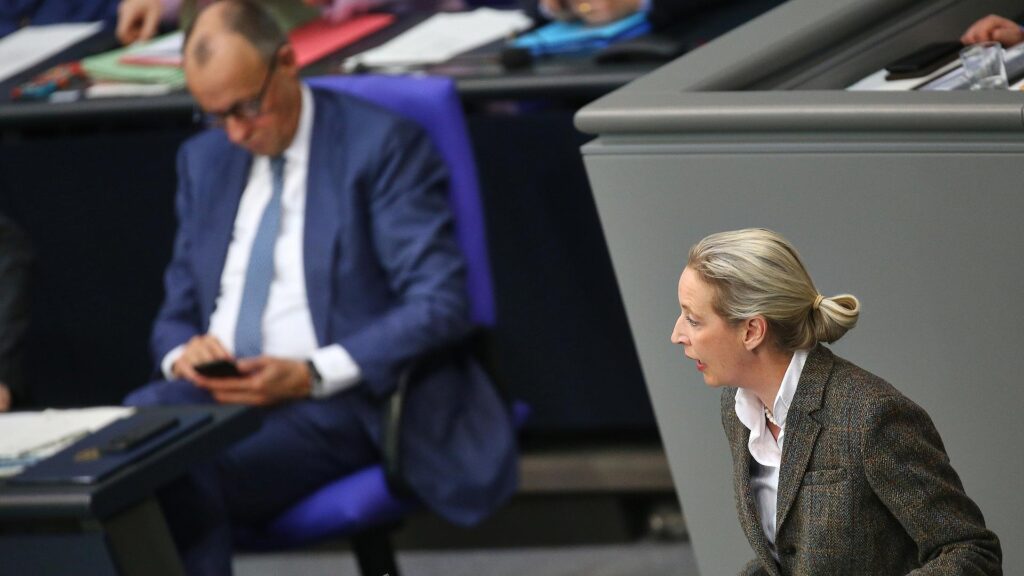 Friedrich Merz und Alice Weidel (Archiv)