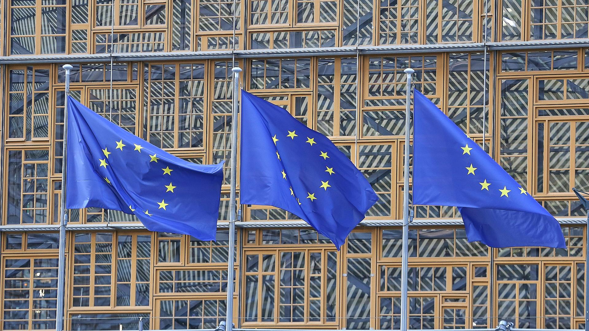 EU-Fahnen (Archiv)
