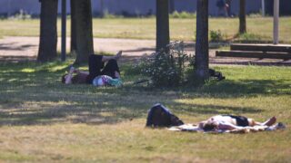 Ministerium: Hitzewelle fordert im Saarland viele Todesopfer