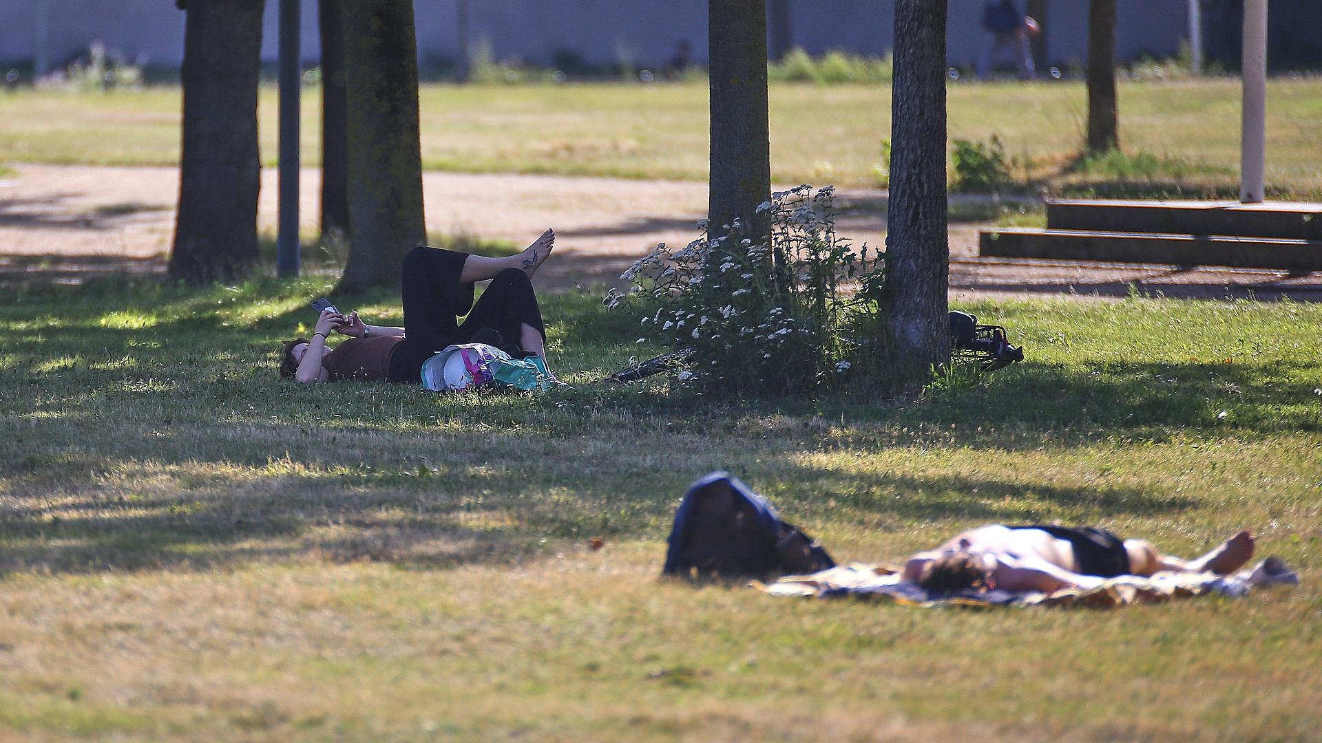 Ministerium: Hitzewelle fordert im Saarland viele Todesopfer 1 Sommer (Archiv)