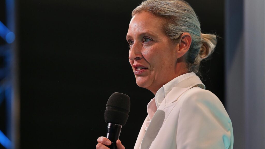 Politbarometer: AfD legt zu - Grüne und Linke verlieren 5 Alice Weidel (Archiv)