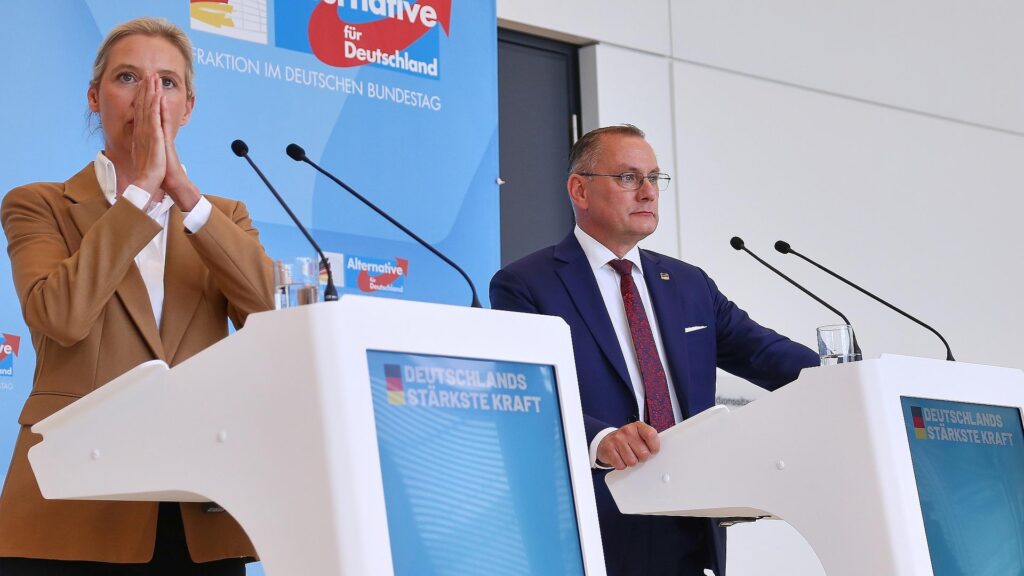 Alice Weidel und Tino Chrupalla (Archiv)
