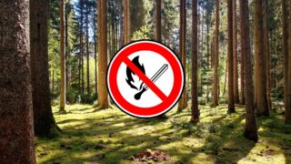 Hohe Waldbrandgefahr in St. Ingbert – Stadt ruft zu Vorsicht auf
