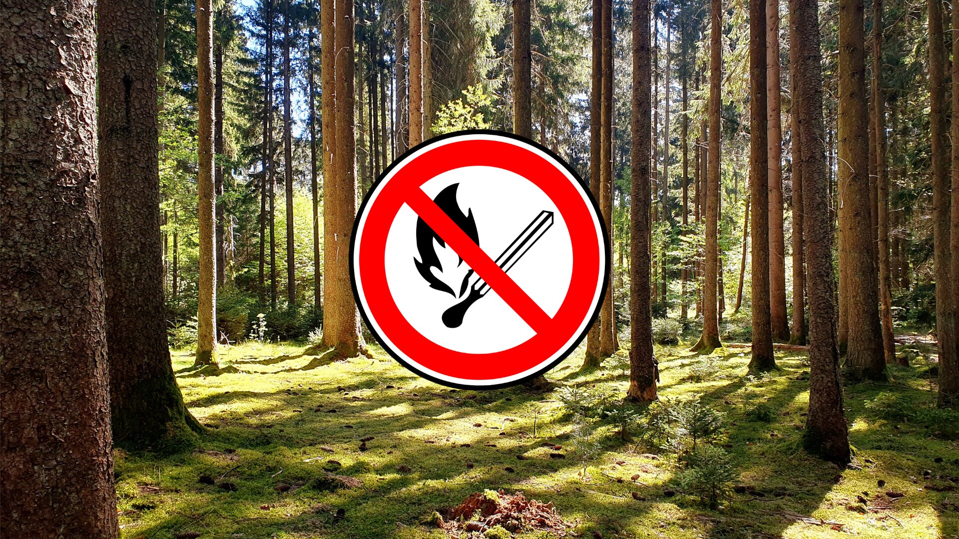 Hohe Waldbrandgefahr in St. Ingbert – Stadt ruft zu Vorsicht auf 1 Aktuelles aus St. Ingbert | Bild: Stadt St. Ingbert Anhaltende Trockenheit erhöht Waldbrandgefahr – Stadt St. Ingbert bittet um besondere Vorsicht