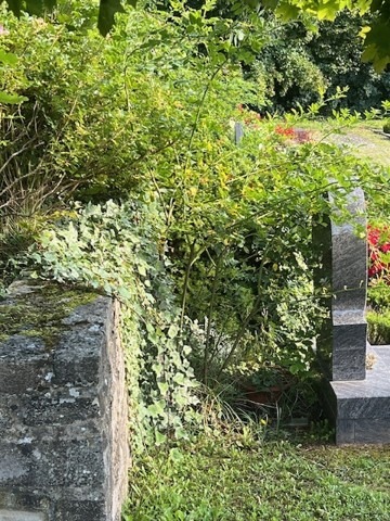 Gemeinde Gersheim mahnt Grabpflege an – Baubetriebshof kündigt Rückschnitte an 1 Bild: Gemeinde Gersheim Grabpflege und Bepflanzung von Grabstätten