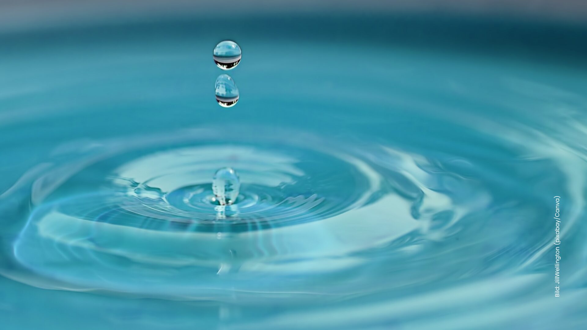 Stadt und Stadtwerke bitten um sparsamen Umgang mit Trinkwasser 1 Aktuelles aus St. Ingbert | Bild: Stadt St. Ingbert Gemeinsam Trinkwasser sparen – Jede Hilfe zählt
