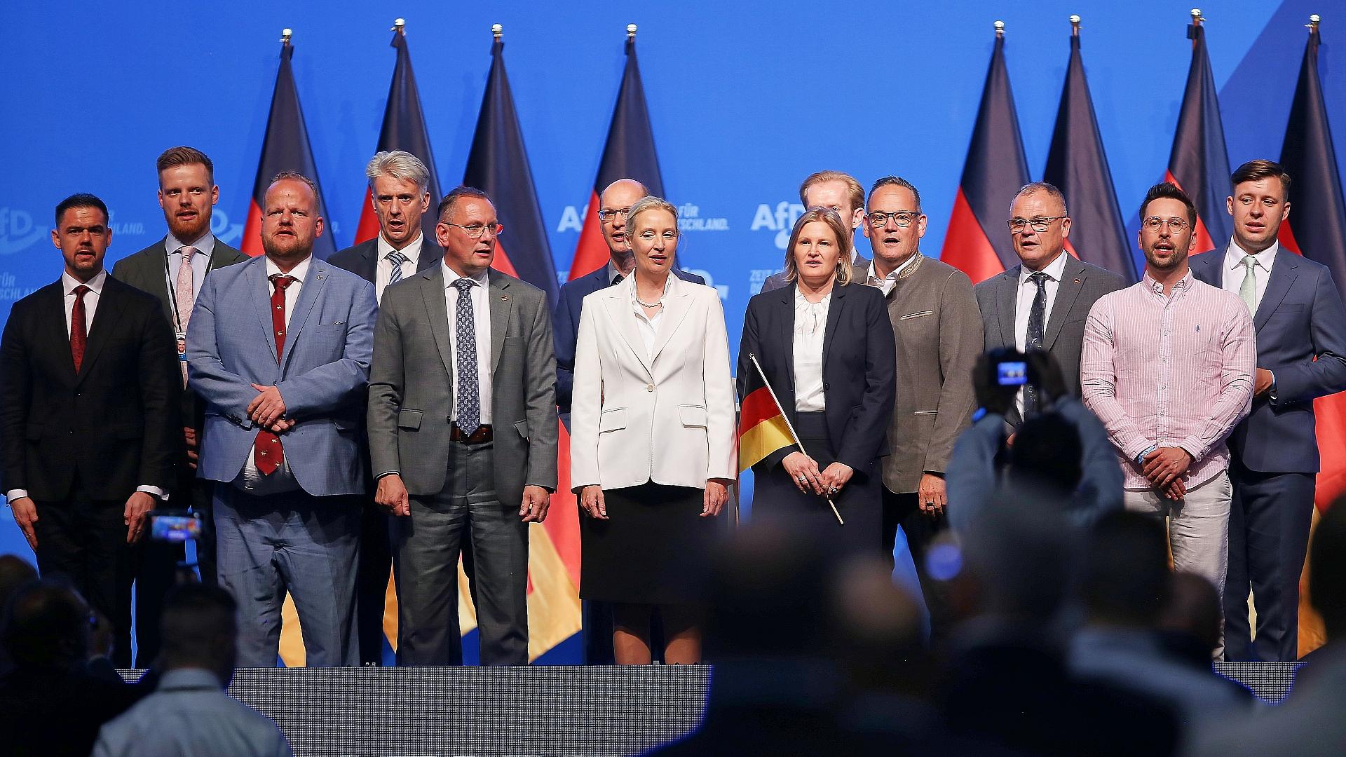 Insa: AfD bleibt stärkste Kraft - Grüne und BSW verlieren 1 AfD-Vorstand (Archiv)
