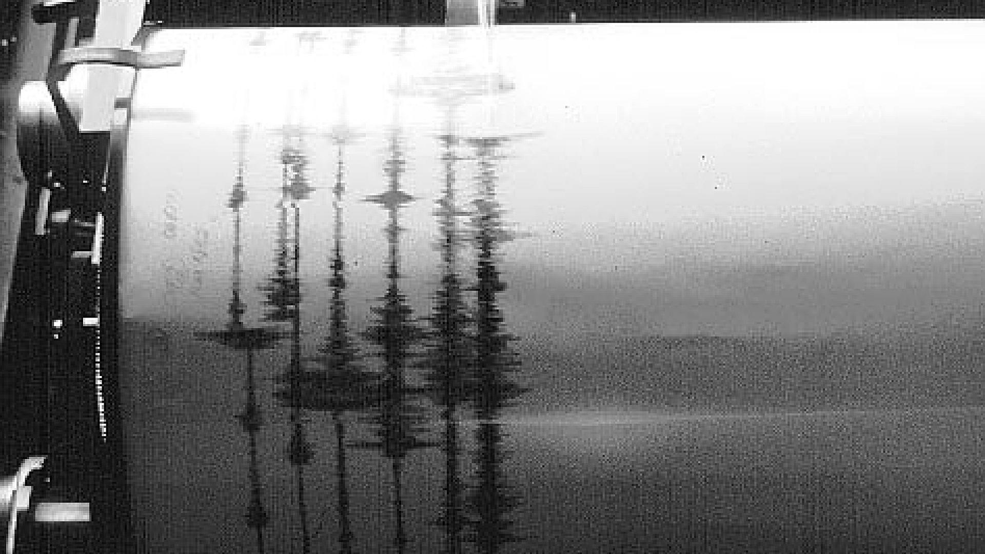 Seismograph bei der Aufzeichnung eines Erdbebens (Archiv)