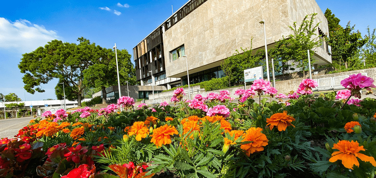 Standesamt St. Ingbert am 2. September geschlossen 1 Aktuelles aus St. Ingbert | Bild: Stadt St. Ingbert Standesamt St. Ingbert am 2. September geschlossen