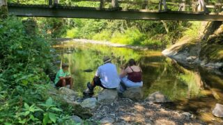Ferienfreizeit „Bleib fit! – sei dabei!“: 17 Kinder verbringen Woche auf Naturerlebnishof Vulkaneifel