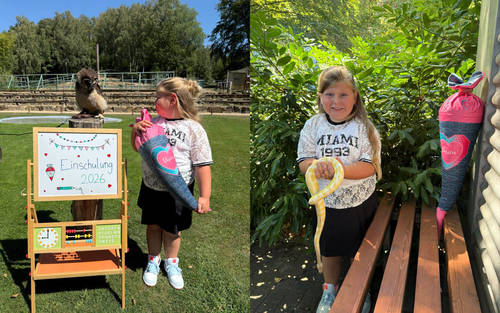 Zoolympisches Kinderfest im Neunkircher Zoo geht in die fünfte Runde 1 Aktuelles aus Neunkirchen | Bild: Bereitgestellt durch die Kreisstadt Neunkirchen Das Zoolympische Kinderfest geht am Samstag in die 5. Runde!