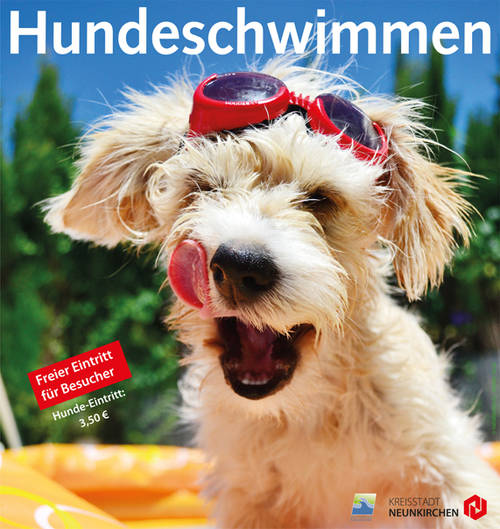 Hundeschwimmen im Freibad Wiebelskirchen am 12. September 1 Aktuelles aus Neunkirchen | Bild: Bereitgestellt durch die Kreisstadt Neunkirchen Hundeschwimmen im Freibad Wiebelskirchen