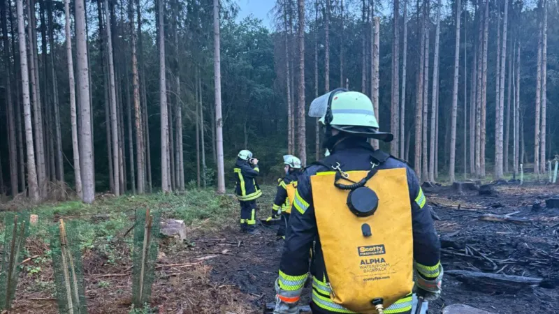 Vegetationsbrand bei Illingen nach vier Tagen gelöscht 14 Vegetationsbrand bei Illingen nach vier Tagen gelöscht