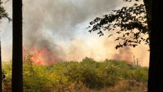 Waldbrand im Hosterwald: Einsatz nach 78 Stunden beendet