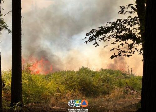 Waldbrand im Hosterwald: Einsatz nach 78 Stunden beendet 6 Aktuelles aus Illingen | Bild: Gemeinde Illingen Fr, 21. August 2026Waldbrand in Hirzweiler