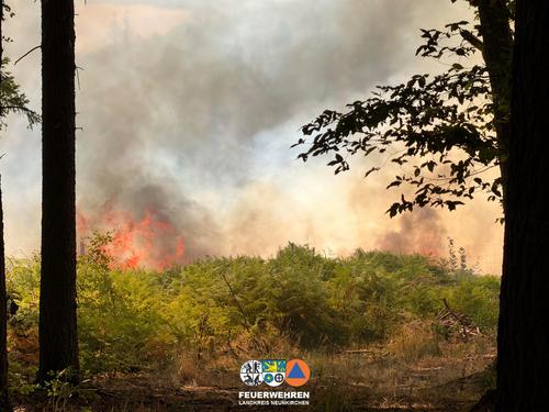 Aktuelles aus Illingen | Bild: Gemeinde Illingen Fr, 21. August 2026Waldbrand in Hirzweiler