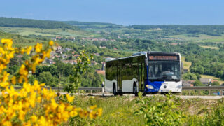 Biosphärenfest in Walsheim: Anreise ohne eigenes Auto empfohlen