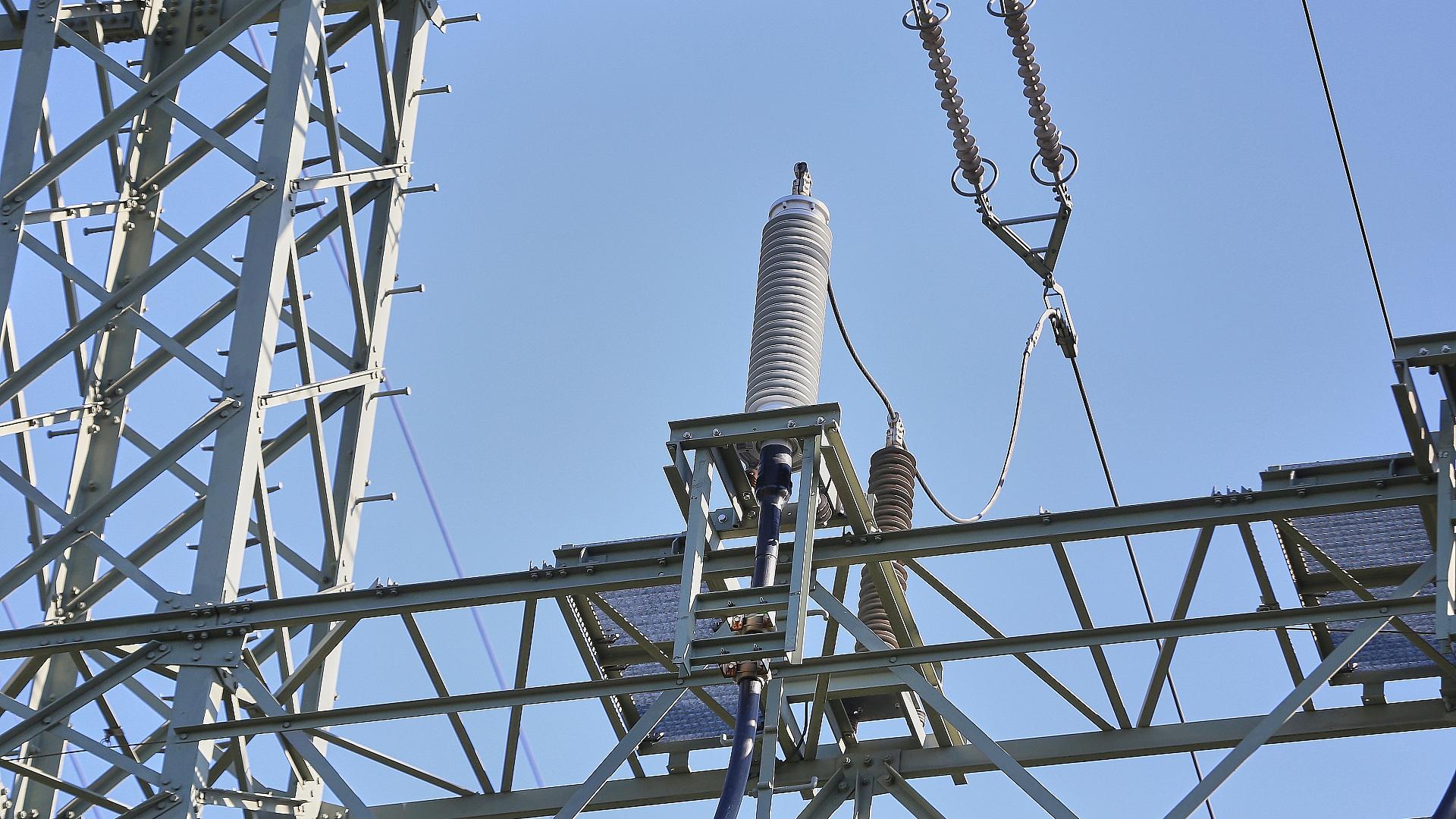 Länder verstärken Schutz kritischer Infrastruktur 1 Strommast der Energieinfrastruktur (Archiv)