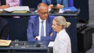 Forsa: Merz jetzt unbeliebter als Weidel