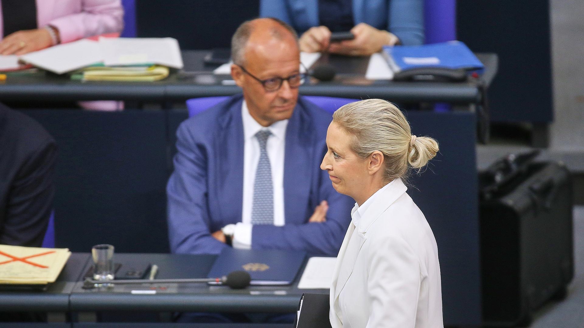 Forsa: Merz jetzt unbeliebter als Weidel 1 Friedirch Merz und Alice Weidel (Archiv)